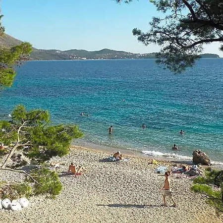 krevet i doručak Avantgarde